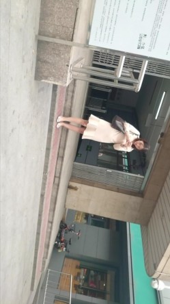 预览图12
