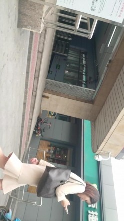 预览图14