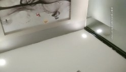 预览图13