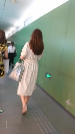 预览图4