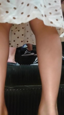 预览图9