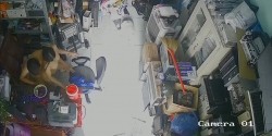 预览图8