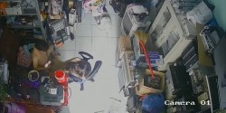 预览图9