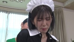 预览图8