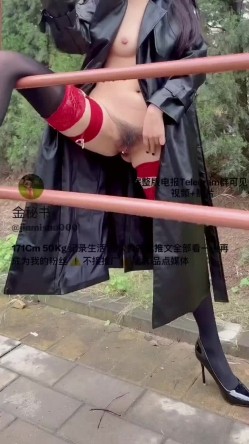 预览图13