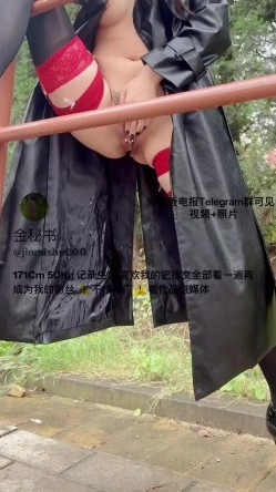 预览图15