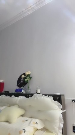 预览图5