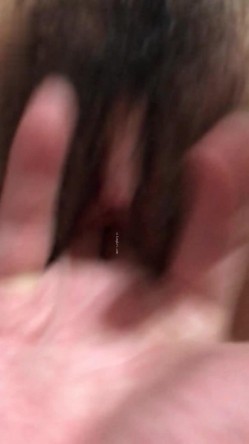 预览图5