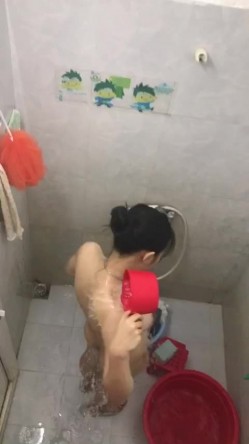 预览图4
