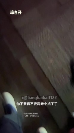 预览图13