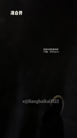 预览图14