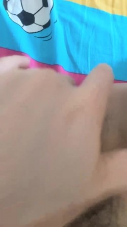预览图4