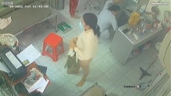 预览图4