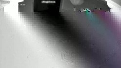 预览图5