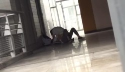 预览图1
