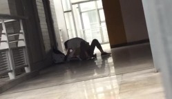 预览图2