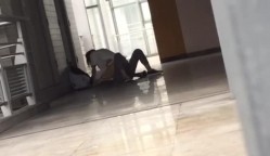 预览图5