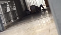 预览图8