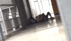 预览图11