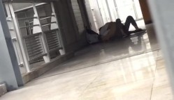 预览图12