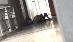 预览图13