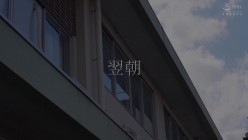 预览图4