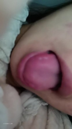 预览图13