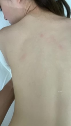 预览图5