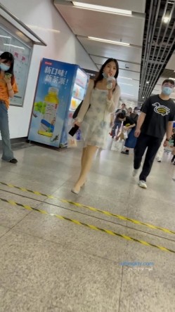 预览图8