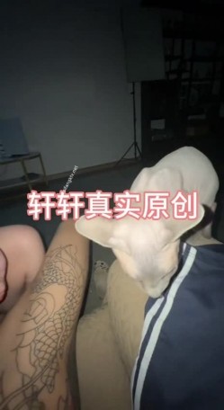 预览图1