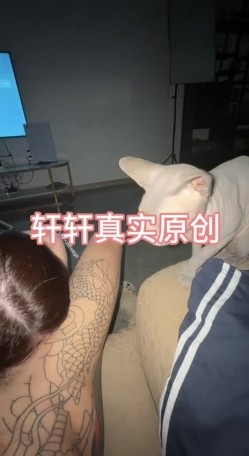 预览图2
