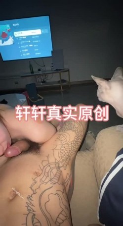 预览图5