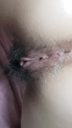 预览图5