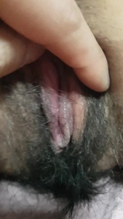 预览图13