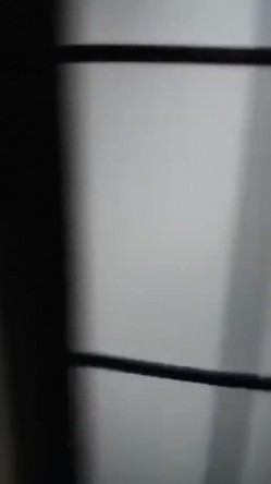 预览图11