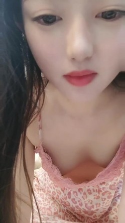 预览图5
