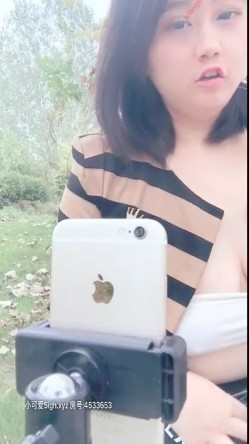 预览图5