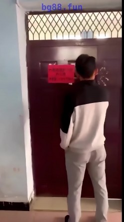 预览图13
