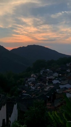 预览图4