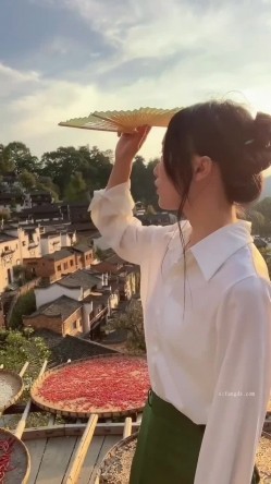 预览图7