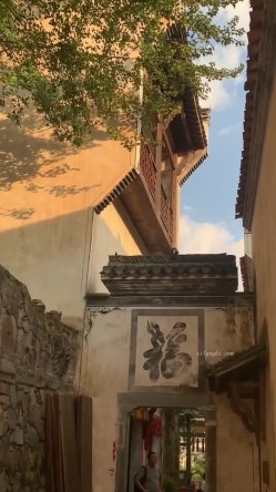 预览图9