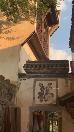 预览图10