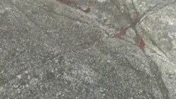 预览图5