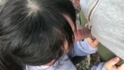 预览图11