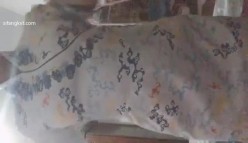 预览图4