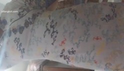 预览图5