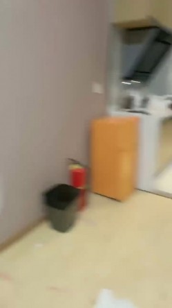 预览图14