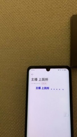 预览图7