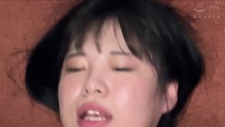 预览图14