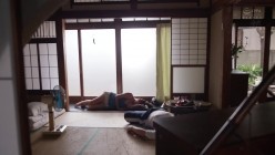 预览图3